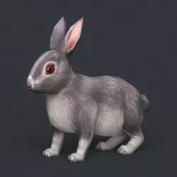 Game Ready Rabbit