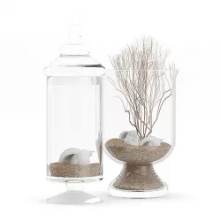 Glass Containers with Sand and Shells