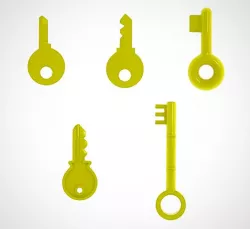 Golden Key set (5)