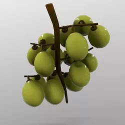 Grapes