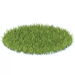 Grass 3D Model