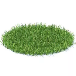 Grass 3D Model