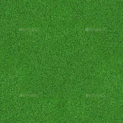 Grass Hi-Res Texture 01 (Tileable)