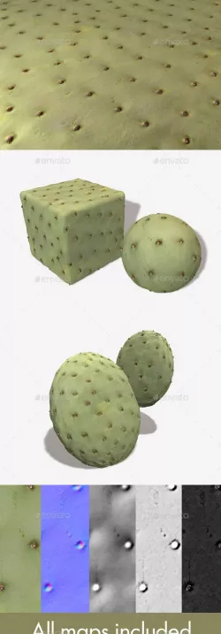 Green Cactus Seamless Texture