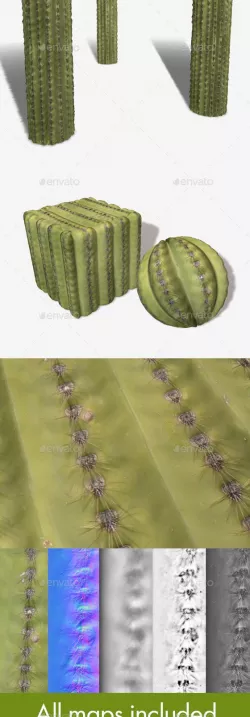Green Cactus Seamless Texture