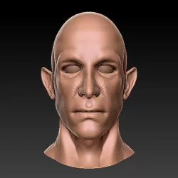 Half Elf 3D Bust