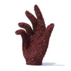 Hand Shaped Red Hedge