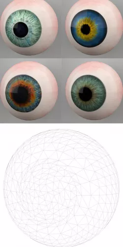 Human Eyes 3D Models