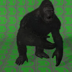 KING KONG