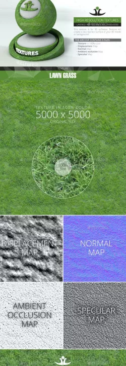 Lawn Grass 2