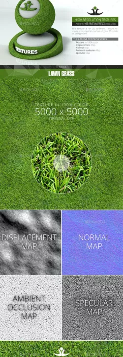 Lawn Grass 3