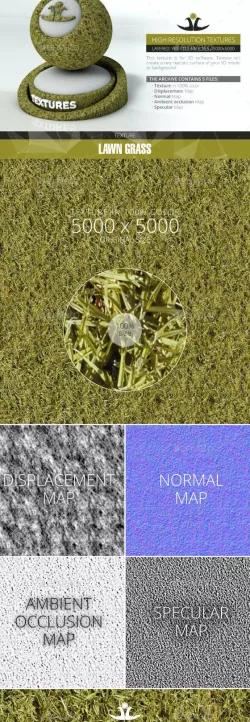 Lawn Grass 4
