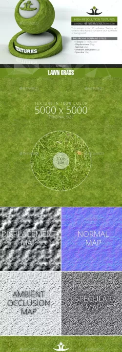 Lawn Grass