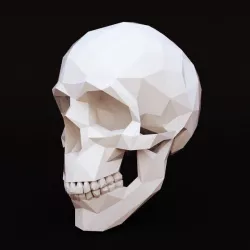 Low poly skull human