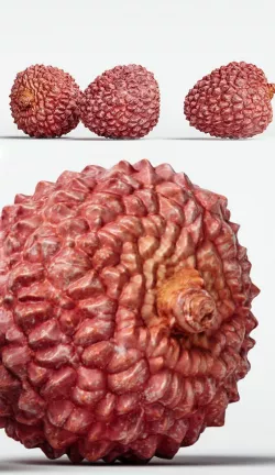Lychee 005
