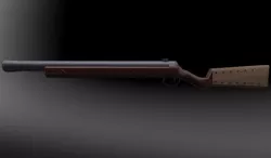 Musket / boomstick