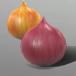 Onion
