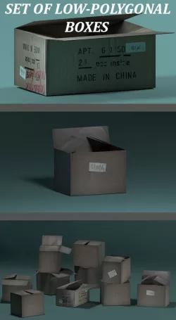 Packaging Box