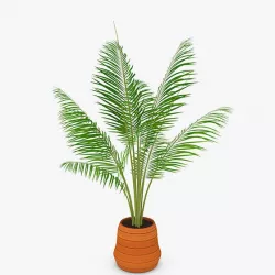 Palm Tree