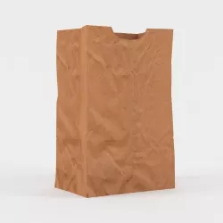 Paper Bag