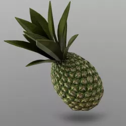 Pineapple