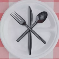 Plastic Fork, Knife, Spoon, and Plate
