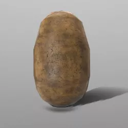 Potato