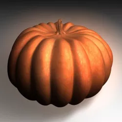Real pumpkin