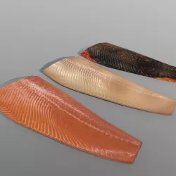 Salmon