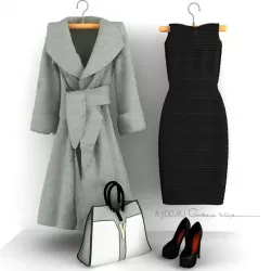 Set of women's clothing shoes coat handbag dress