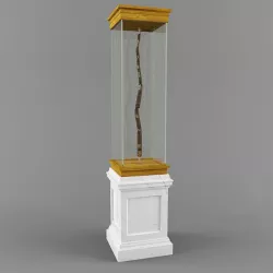 showcase staff