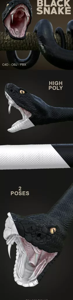 Snake 3D Model