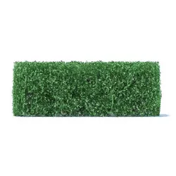 Straight Hedge