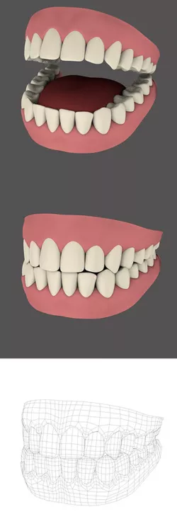 Teeth