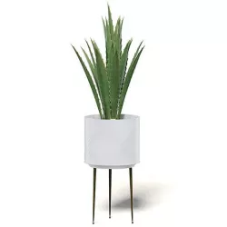 Aloe in White Pot 3D Model