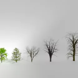 Animated Rigged Trees Pack