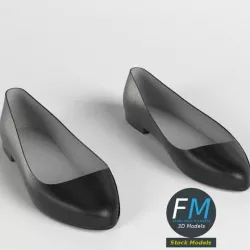 Ballerina Shoes