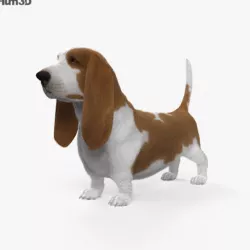 Basset Hound HD