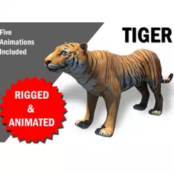 Bengol Tiger Rigged and Animated 3D model