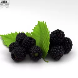 Blackberry