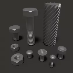 Bolts and nuts kit with a worm
