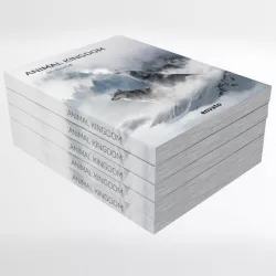 Books 03