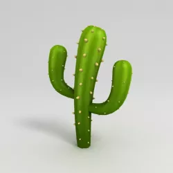 Cactus