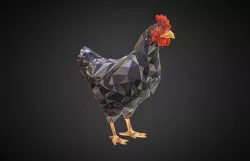 Christmas Chicken Black Low Polygon Art Bird