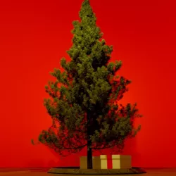 Christmas Scene