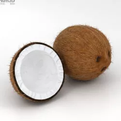 Coconut
