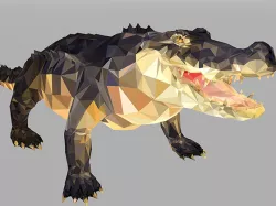 Crocodile