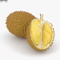 Durian