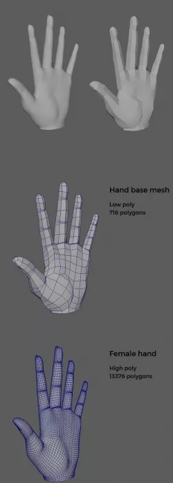 Female hand and hand base mesh