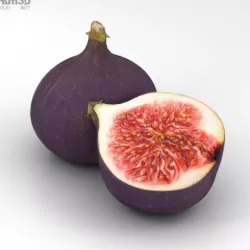 Fig